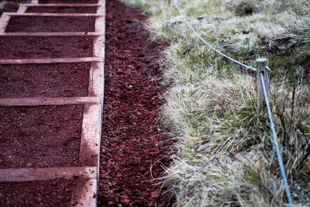 Raised garden bed cross-section showing reddish-brown wooden frame filled with dark soil layers on left and dried grass clippings with drip irrigation tubing on right.